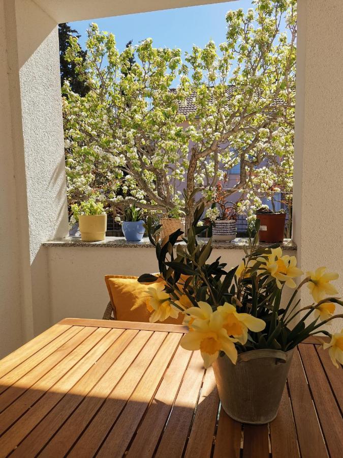 Apartman Soto Pirovac Eksteriør bilde