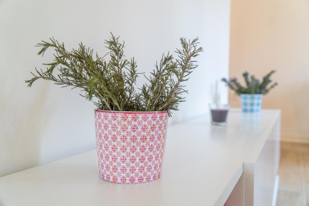 Apartman Soto Pirovac Eksteriør bilde